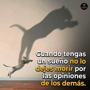 Meet your Posher, Alejandro